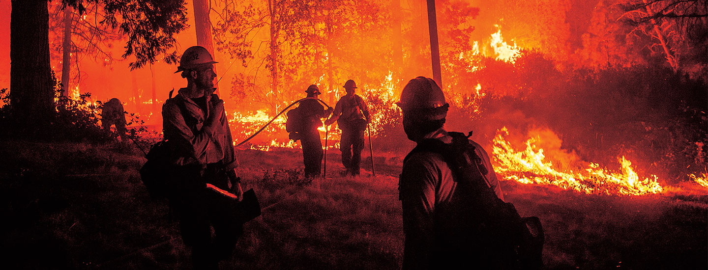 Firefighters in a burning forest.