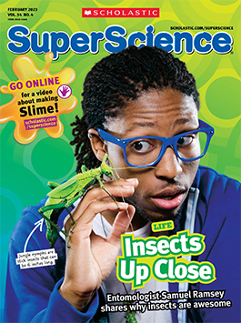 Magazine Issue Cover